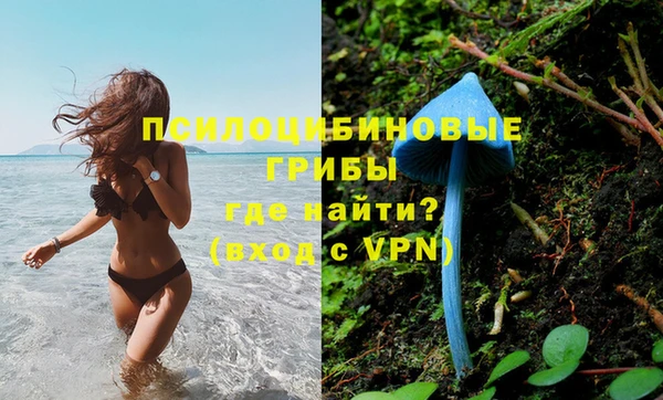 марки nbome Белокуриха